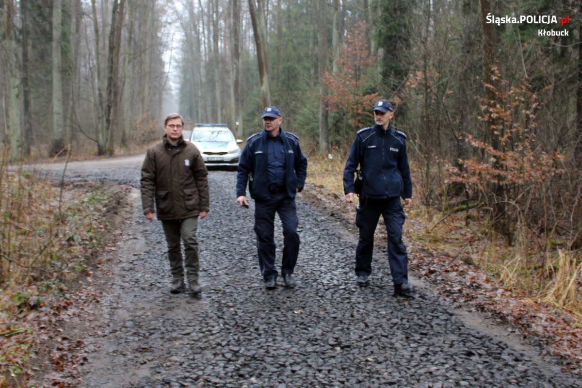 Umundurowani policjanci i strażnik leśny idą drogą przez las