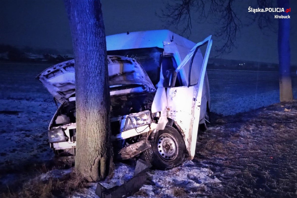 biały bus, który uderzył w drzewo