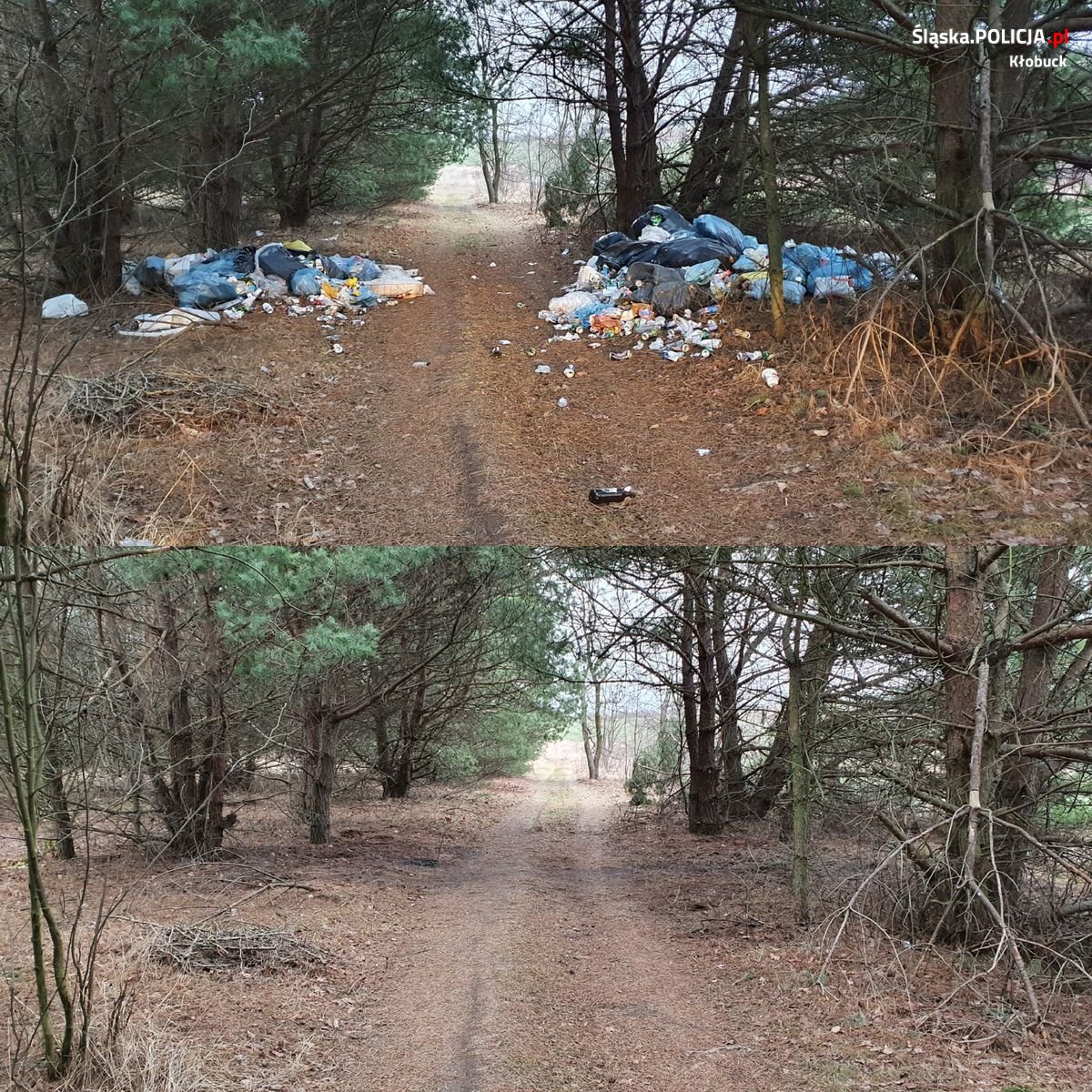 dwa zdjęcia połączone ze sobą, na górze widać śmieci porzucone przy drodze leśnej, na dole drogę leśną bez śmieci