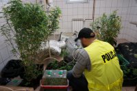 Policjant przy zabezpieczonych narkotykach.