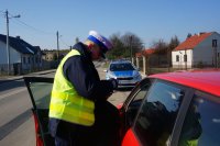 Działania Pasy, policjanci kontrolują samochód.