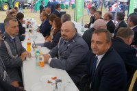 Dożynki Wojewódzkie Danków 2016