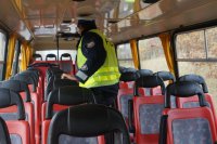 kontrola "gimbusa" w Libidzy