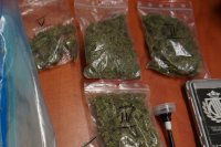 zatrzymane narkotyki