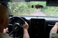 oględziny miejsca kradzieży drewna