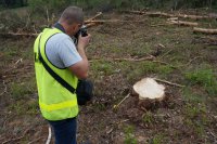 oględziny miejsca kradzieży drewna
