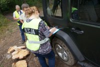 oględziny miejsca kradzieży drewna