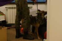 Kryminalni zatrzymali dilerów narkotykowych