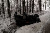 bmw w rowie