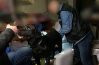 policjanci zatrzymali dilera i zabezpieczyli narkotyki