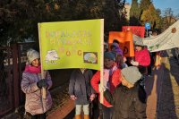 działania profilaktyczne