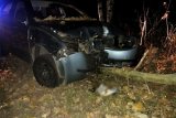 samochód, który uderzył w drzewo