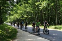 rowerzyści jadący jezdnią wzdłuż lasu