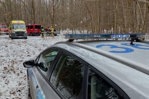 Na zdjęciu widać oznakowny radiowóz, karetkę pogotowia oraz wozy bojowe straży pożarnej