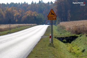 Na zdjęciu widzimy jezdnię oraz po jej prawej stronie, na poboczu znak &amp;quot;uwaga dzikie zwierzęta na drodze&amp;quot;. W tle las.