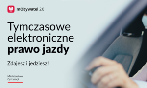 Zdjęcie przedstawia profil kobiety za kierownicą.