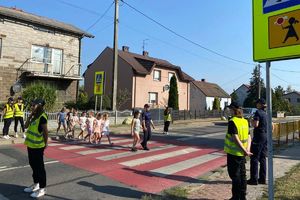 Zdjęcie przedstawia policjantkę, młodzież z kamizelkach odblaskowych z napisem Młodzieżowa Służba Ruchu Drogowego oraz dzieci przechodzące przez pasy.