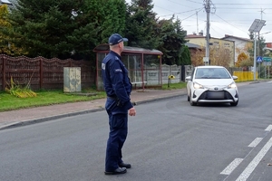 Zdjęcie przedstawia policjanta stojącego na drodze.