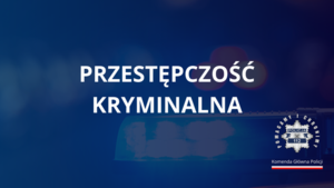 przestępczość kryminalna