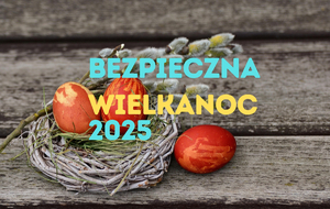 Jajka w gnieździe.