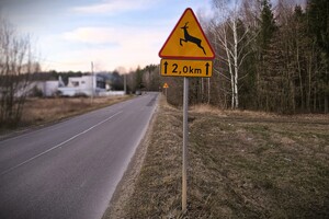 znak uwaga dzikie zwierzęta